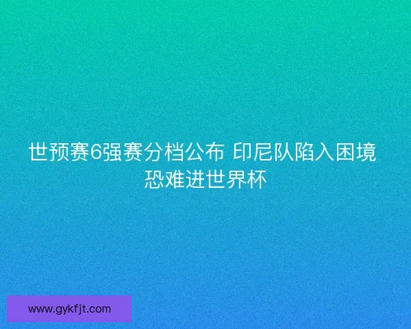 世预赛6强赛分档公布 印尼队陷入困境 恐难进世界杯