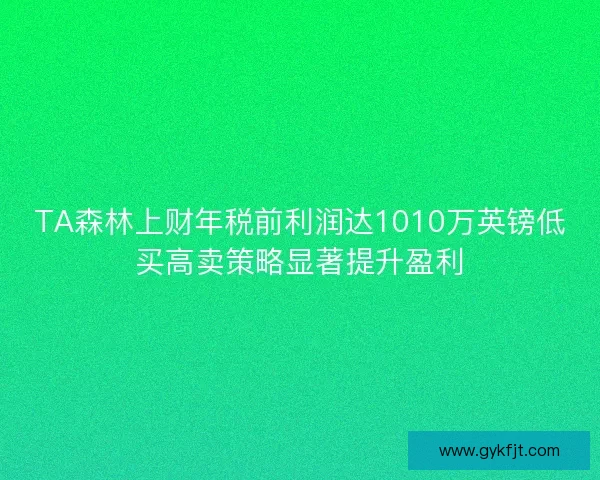 TA森林上财年税前利润达1010万英镑低买高卖策略显著提升盈利
