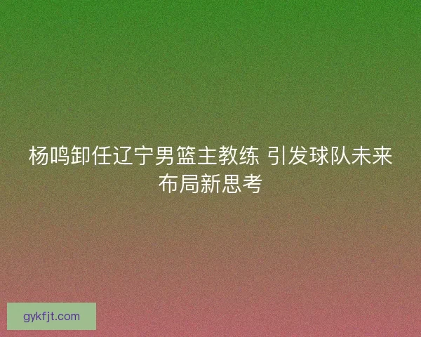 杨鸣卸任辽宁男篮主教练 引发球队未来布局新思考