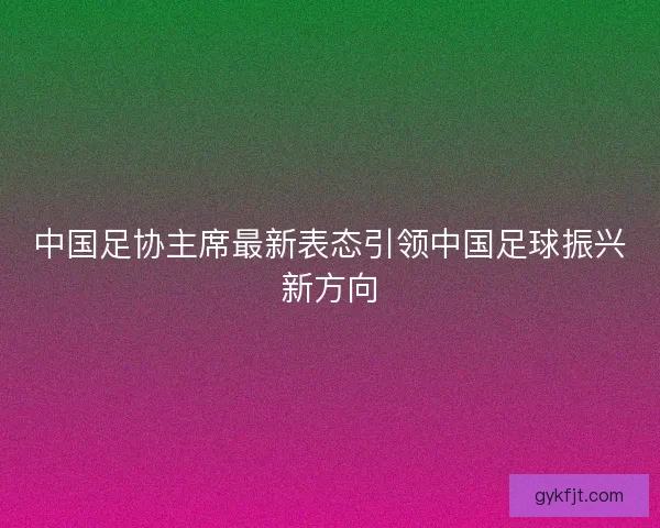 中国足协主席最新表态引领中国足球振兴新方向
